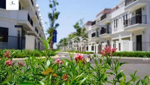 giỏ hàng chuyển nhượng lavida vũng tàu tháng 11/2025 - giá chỉ từ 6.5 tỷ