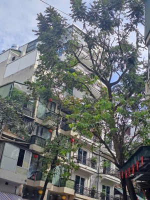 trung tâm hoàn kiếm hơn 400m² giữa ba tuyến phố vàng: hai bà trưng phan bội châu tràng thi