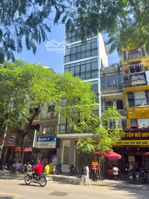 bán nhà mặt phố trần quốc hoàn, cầu giấy, 6 tầng 1 hầm, mt 4m, dt 44m, vị trí đẳng cấp, vỉa hè 11m.