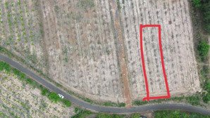 bán đất đẹp 250m2 tại xã lộc thành, lộc ninh, bình phước, giá 350 triệu