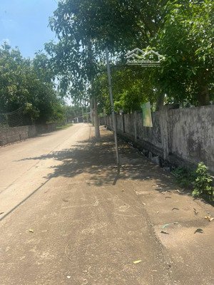 bán 50m² đất dv ct23a-ct13b lê trọng tấn, hà đông vị trí vip, giá 19.9 tỷ