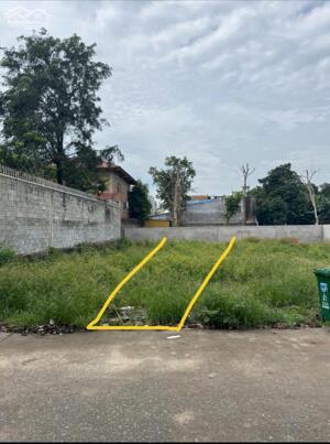 ĐẤT ĐÔNG HOÀ DĨ AN - TP HCM- ĐƯỜNG DA CÂY XỀ