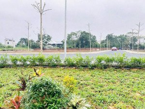 cần bán gấp lô đất tại xã phú cát sát đường quốc lộ 21 và cách đại học quốc gia hà nội chỉ 1,5km