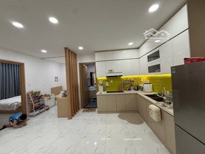 cho thuê cc lavida plus, 13 triệu vnd, 55m2, 1pn, 1wc, đẹp, nhiều tiện ích