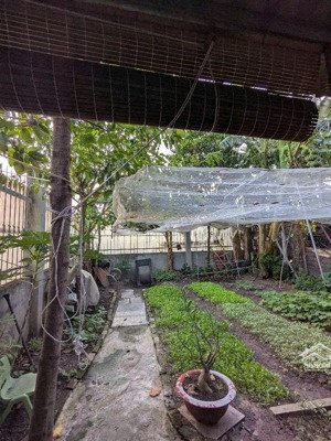 tặng 2 căn nhà vườn khi mua lô đất full thổ hơn 300m2, nhà mát mẻ, gần bệnh viện xuyên á, củ chi
