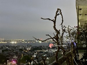 em sơn cư dân tràng an complex được chủ nhà tin tưởng gửi bán 8 căn hộ giá đầu tư tốt nhất tháng 11