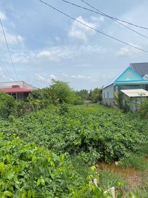 bán gấp lô đất 90m²/1,5 tỷ tại đường lý nhơn, an thới đông, cần giờ cách rừng sác khoảng vài phút