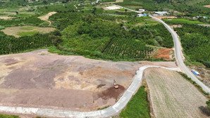 bán đất 1000m2 tại đường 725b, xã tân hà, lâm hà, lâm đồng, 720 triệu