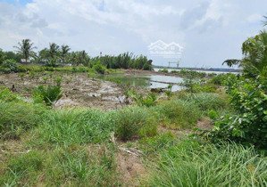 đất mặt tiền sông lòng tàu xã bình khánh giá chỉ 800.000đ/m2 cho a em gôm hàng đón bờ kè