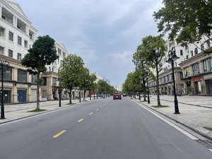 bán căn tmdv hải âu 11 vinhomes ocean park 86m² 2 mặt đường vị trí siêu đẹp giá cực tốt