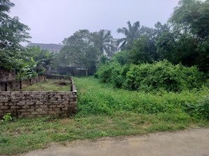 bán đất sơn đông, sơn tây. 196m2, mặt tiền 9,8m. chỉ 7 tỷ