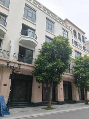 bán lk đẹp 6pn, 6wc tại vinhomes ocean park 2, giá 7,3 tỷ, 48m2