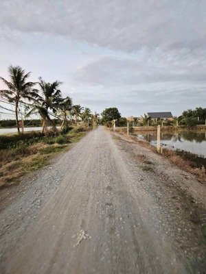 chính chủ gửi lô đất hựu thạnh, giá rẻ cho anh chị đầu tư. thổ 100%