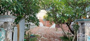 bán đất đẹp tại vườn lài, an phú đông 262 m2 đường lớn xe hơi vô tận nhà giao dịch chính chủ