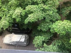 cho thuê căn hộ ngõ 35 tôn thất thiệp - lý nam đế, dt 35m2 gồm 1 pn, đầy đủ nội thất, giá 8tr