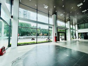 cho thuê mặt bằng tầng 1 tại cầu giấy 800m2 làm showroom