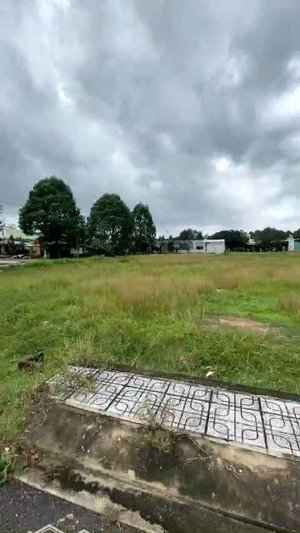 bán nền biệt thự 345m2 khu dân cư tam an long thành đồng nai.