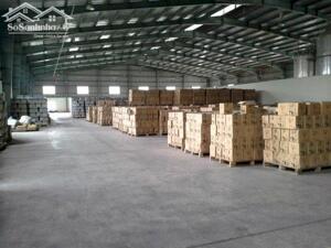 Cho Thuê Nhà Xưởng Ngoài Khu Công Nghiệp đức Hòa (long An Tây Ninh)