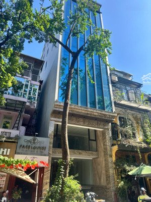 chính chủ cho thuê toà nhà làm văn phòng / kinh doanh dịch vụ, 139 triệu việt vương, 13.500$/tháng