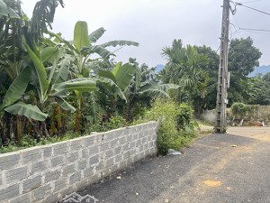 chính chủ gia đình bán 1168m2 đất ở tại yên xuân hà nội giá cả hợp lý, không qua môi giới