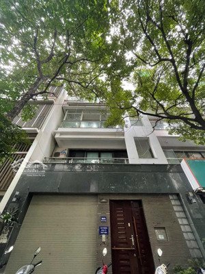 cho thuê nhà thái hà- đống đa: dt 70m²* 5 tầng, vị trí kinh doanh, văn phòng, mọi mô hình. giá 30tr