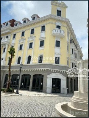 hàng cắt lỗ đón sóng hạ long xanh căn góc sh mặt đường hạ long, s: 238m2, giá: 32,5 tỷ