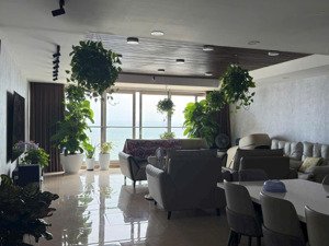 bán căn hộ penthouse cao cấp tại gold sea vũng tàu, lh 