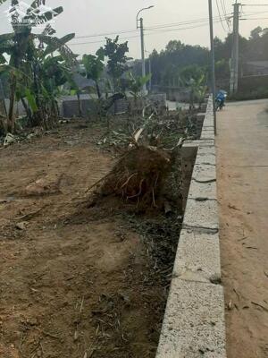 BÁN LÔ GÓC SIÊU ĐẸP DT 218M2, MT CHÍNH 10M TẠI TÂN AN SƠN ĐÔNG, GIÁ DƯỚI 4 TỶ LH0866990503