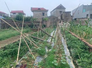 bán nhanh 100,5m giá rẻ nhất khu vực .cơ hội vàng cho mhaf đầu tư .bắc thượng -quang tiến