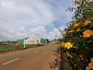 Đất nền ngang 20m mặt tiền đường nhựa ngay sân Bay Liên Khương Đà Lạt, view