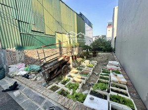 lô đất đáng mua nhất vân nội, đông anh thời điểm này đẹp từ vị trí tới pháp lý!