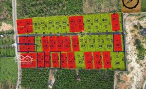 bán đất 2 lô c7, c8, hẻm nhựa lê thị riêng, lộc châu (phường 3) bảo lộc. dt 1 lô: 502m² (15x33,4)m