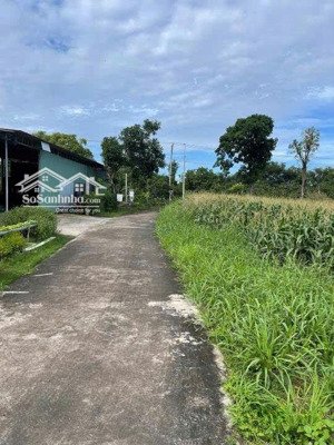 bán đất đẹp tại xuân phú, 1.52 tỷ, 1200m2, tiện ích đầy đủ, chính chủ