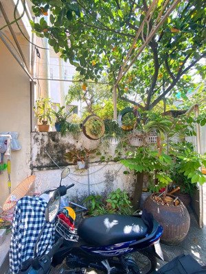 cách lotte, tdtu rmit chỉ 300m, đoạn ko ngập, ở đông người được, 99m2, chỉ 8tr5