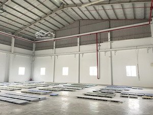 cho thuê kho, nhà xưởng, đất tại đường 835, xã mỹ lộc, cần giuộc, long an, 200 triệu, 5000 m2