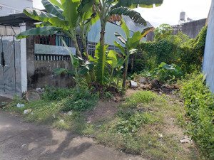 đất chính chủ sau trường nguyễn khuyến, đh công nghệ đồng nai