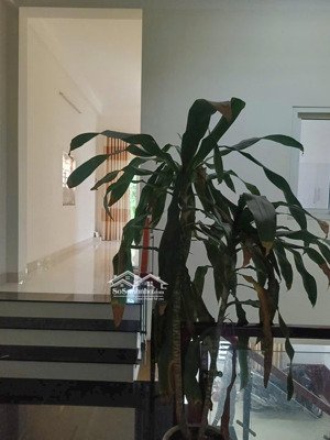 tôi chính chủ cần bán nhà hồ sỹ dương, có hoa hồng cho môi giới 1%