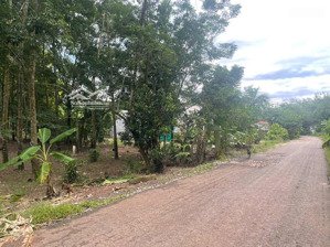 chủ gửi bán gần 712 đất mặt tiền đường thuộc tiến hưng tp đồng xoài cũ