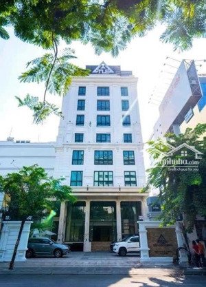 cho thuê tòa nhà mới xây mới đường ngô thời nhiệm phường xuân hòa quận 3.