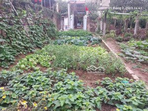 chủ kẹt tiền bán gấp lô đất đẹp việt hùng, đông anh 92m mặt tiền 4.6m nở hậu ô tô vào 5.79 tỷ