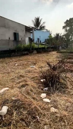 chính chủ cần bán lô đất mặt tiền đường tân hội gần bàu sen và đường dt823.