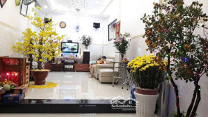 nhà 4 tầng nguyễn tri phương q.10 - dt 39m vuông vức - chỉ 9.2 tỷ tl