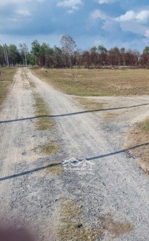 bán đất vườn 1 sẹc quách thị trang, vĩnh thanh, nhơn trạch đất phủ hồng giá rẻ, cách cát lái 4km