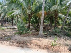 chính chủ cần bán 2 mảnh đất ở tân phú đông, gò công