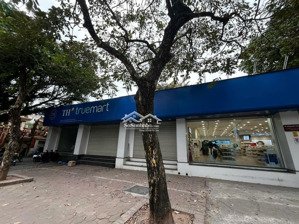 cho thuê tầng 1 kinh doanh mặt tiền 14m, vuông 200m².