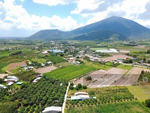 1200m2 đất đường dương văn nốt, gò dầu. diện tích lớn, sẵn 200m2 thổ cư xây ngay. giá 900 triệu