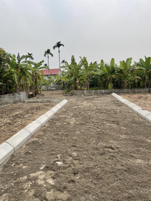 hiện tại e có 17 lô đất f0 tại trực trang- bát trang (chưa qua đầu tư)