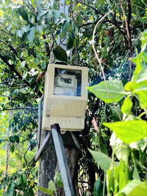 đất trống đường xe hơi diện tích lớn phù hợp vừa xây ở vừa cho thuê cho gia đình tài chính thấp