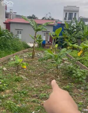 Bán đất 115m2 Vĩnh Khê An Dương Hải Phòng