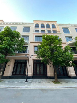 siêu rẻ! liền kề 48m² cọ xanh, vinhomes ocean park 2 vị trí vàng gần công viên